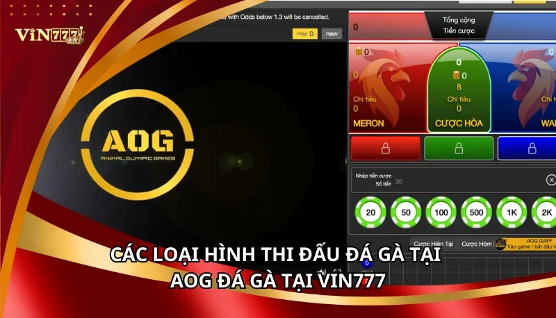 AOG Đá Gà Vin777: Các Hình Thức Đá Gà Và Mẹo Chơi Cao Thủ 6 Các loại hình thi đấu đá gà tại AOG Đá Gà tại Vin777